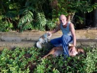 das zu meldende Bild