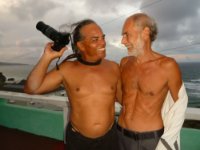 das zu meldende Bild