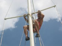 das zu meldende Bild