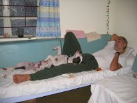 das zu meldende Bild